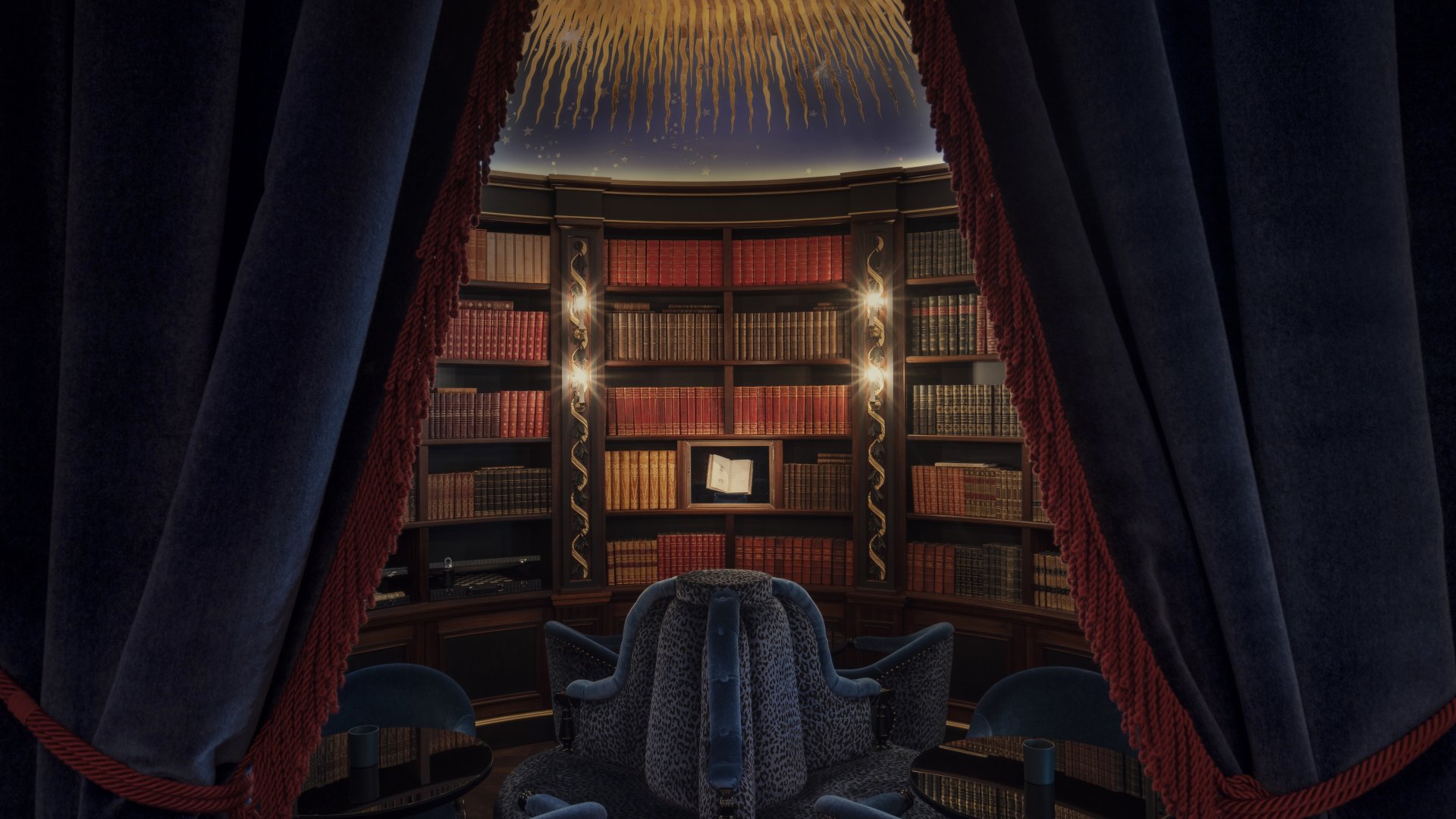 Library 01